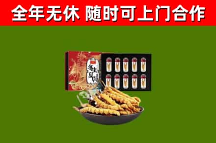 长清回收冬虫夏草价格