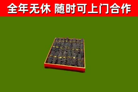 长清回收海参
